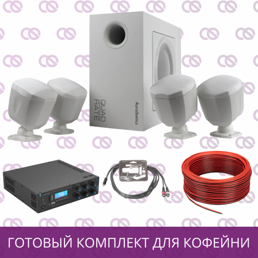 Акустическая система фоновой музыки для кофейни (белый)