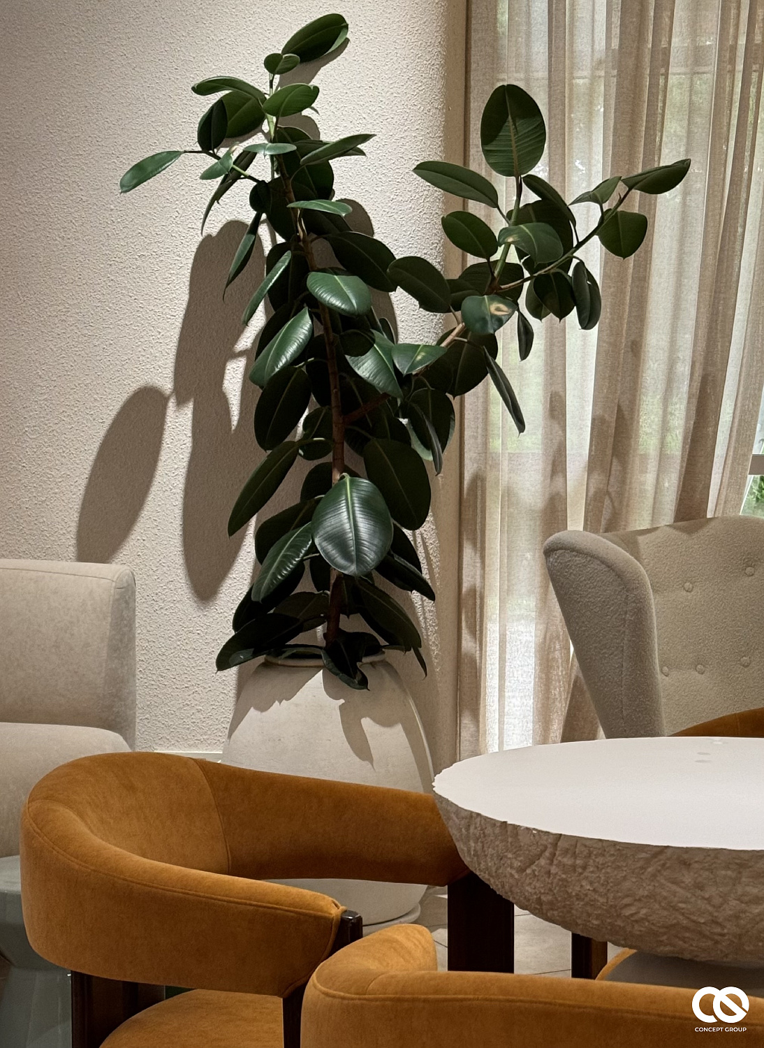 Установка звукового оборудования в кофейне “Зацепи кофе”